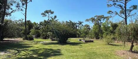 Un'area verdeggiante all'aperto con alberi e cielo sereno.