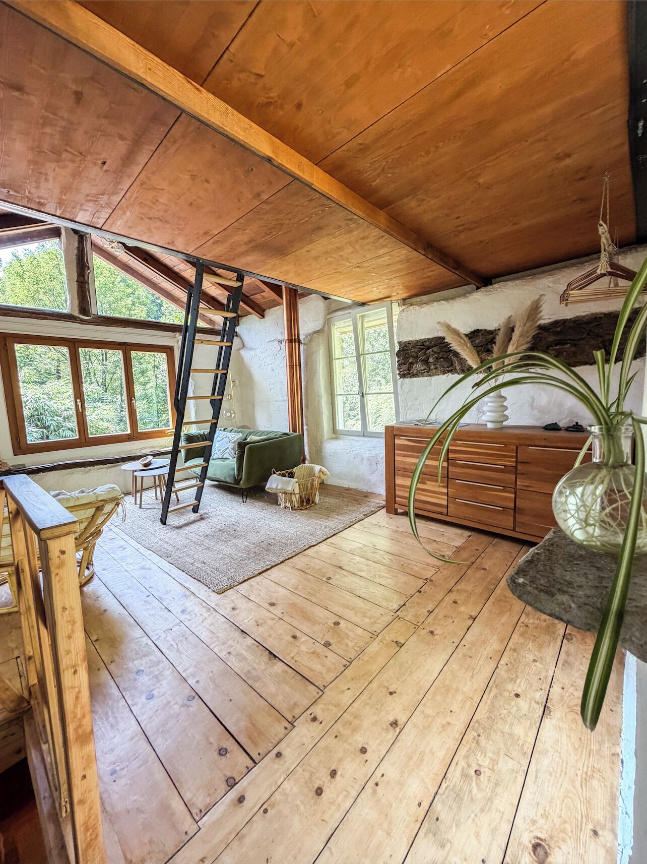 Een rustiek houten interieur met een vide, een ladder, een groene bank, een kleine hond en een grote plant.