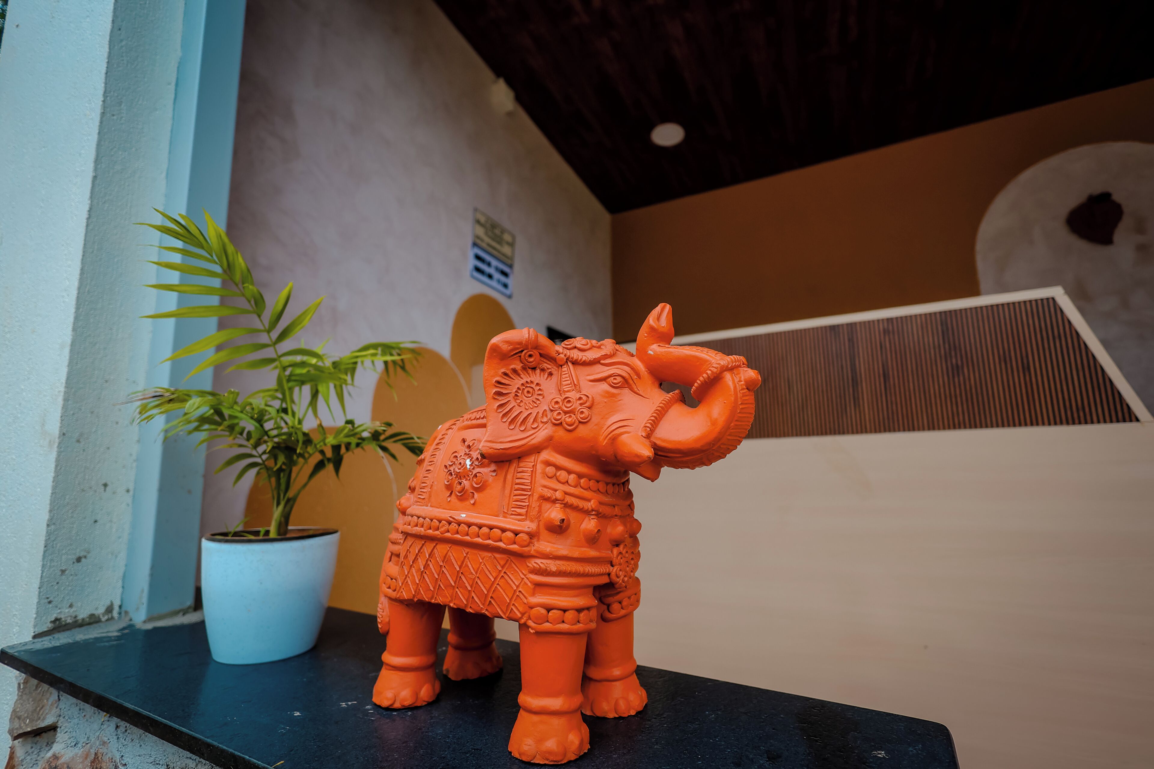 A terracotta elephant statue on a black surface, a potted plant, and a wall with a sign.