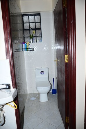 Towels, soap, toilet paper - Cozy  2-bedroom apartment in Machakos for your stay (Machakos)