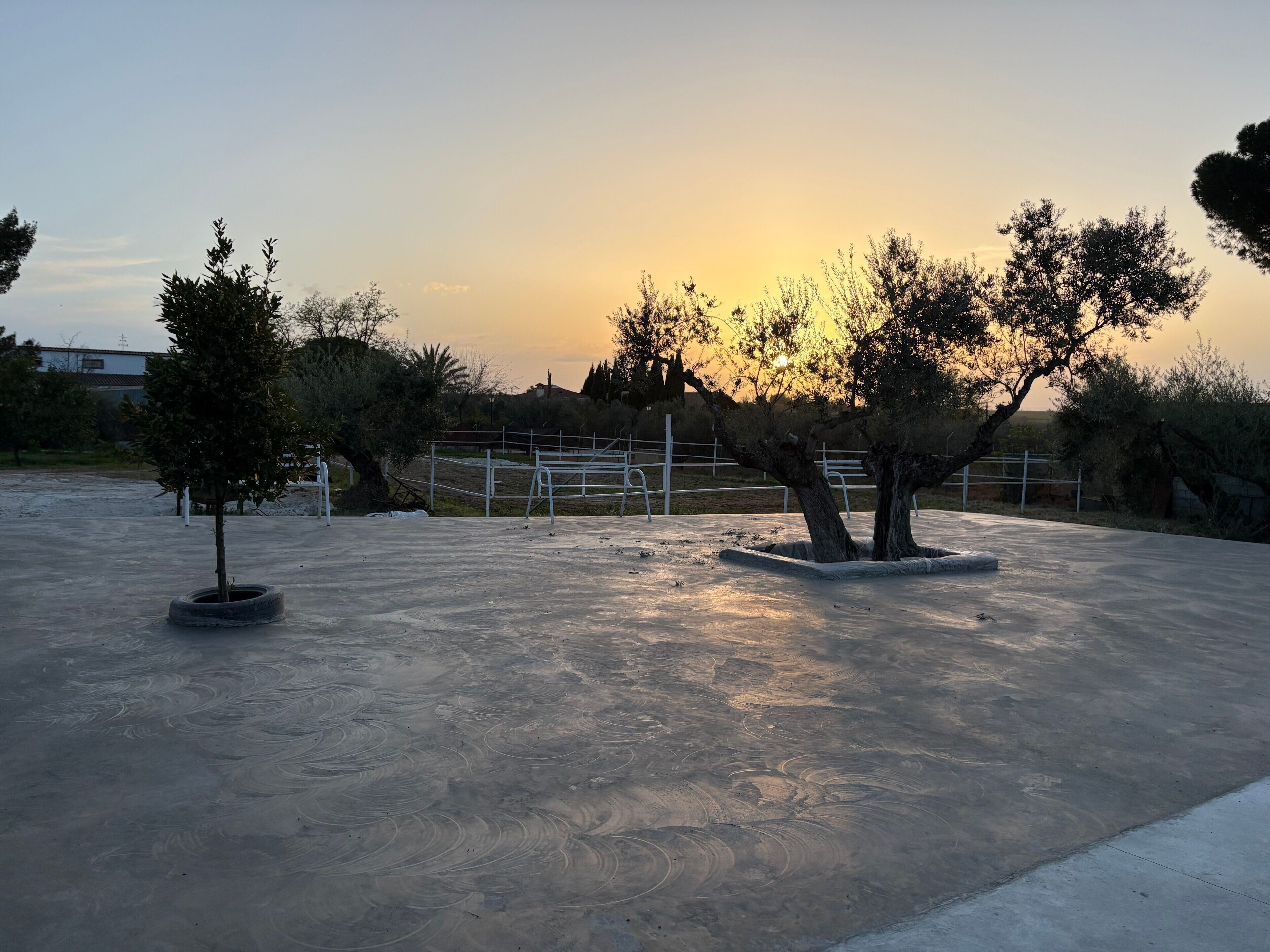 Terrain de sport