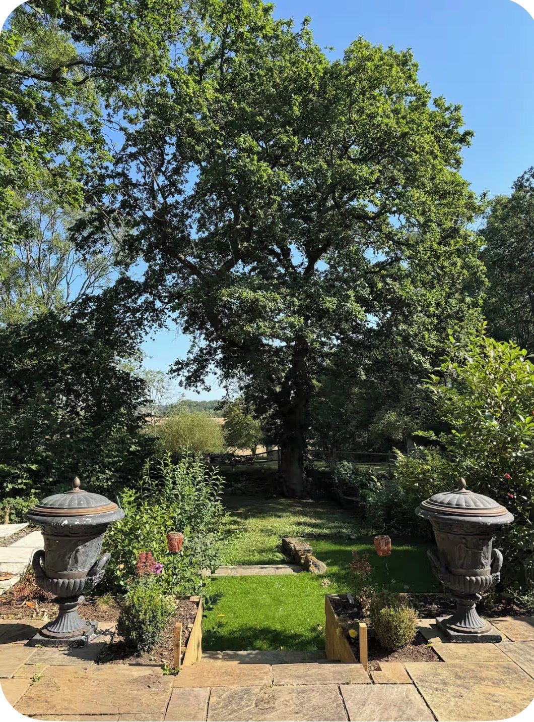 Un jardín con un árbol grande, macetas de piedra y un césped bien cuidado.