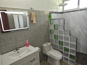 Bathroom - Modern spacious house on a Cacao and Coffee Farm, volcano views, AC, secure park (La Fortuna)