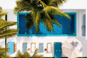 A rectangular swimming pool with blue mosaic tiles, surrounded by white walls and palm trees. - Lanta Secret House (Saladan subdistrict)