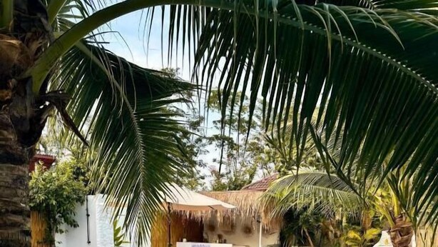 Villa, 3 chambres, balcon, vue sur le jardin | Piscine