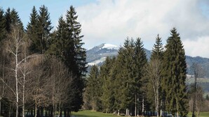 A golf course with a pond, trees, and a mountain in the background. - Apartment mit 2 Schlafzimmern (Westendorf)