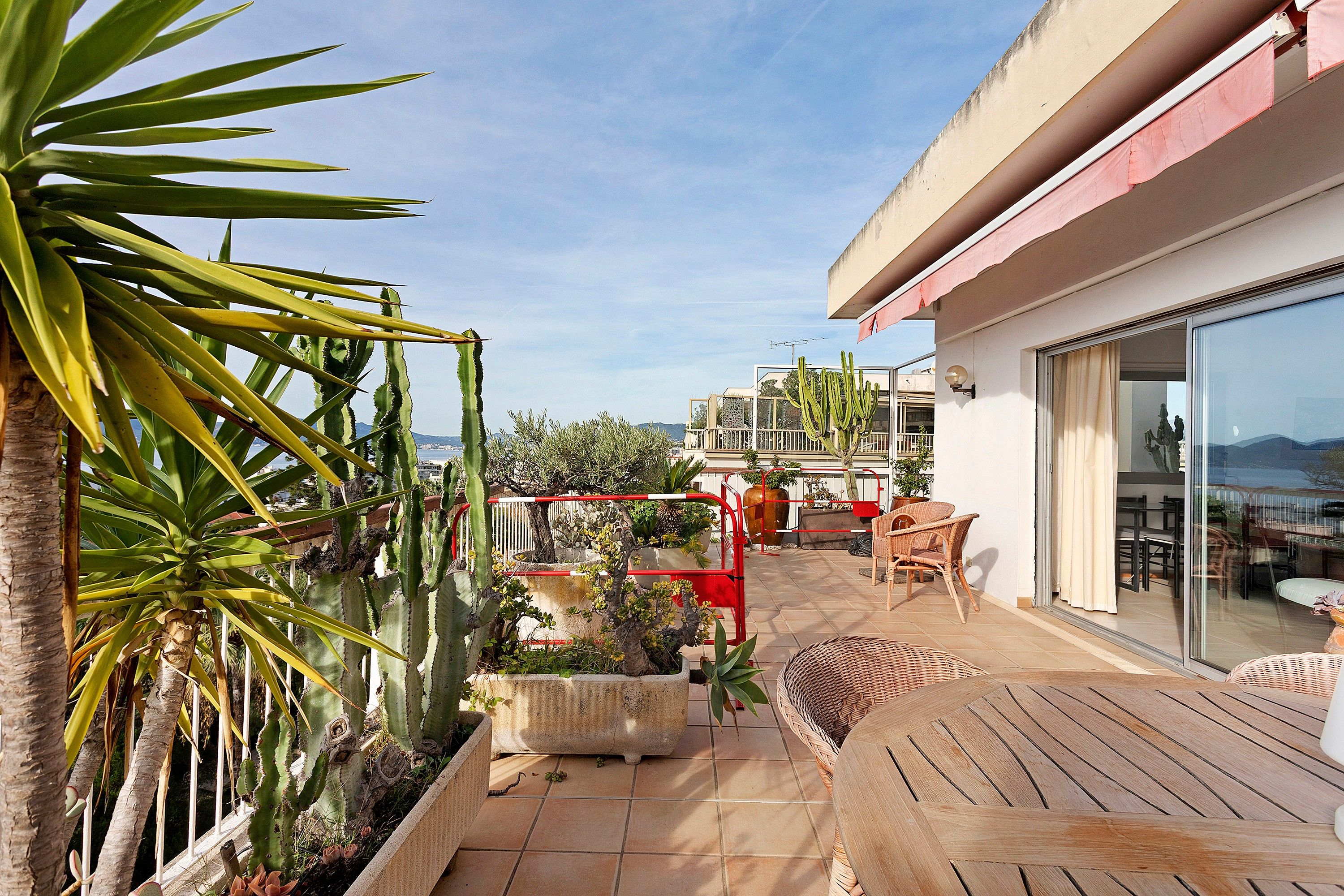 A rooftop terrace with a dining area, outdoor furniture, and cacti.