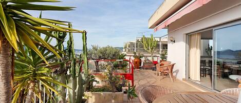 A rooftop terrace with a dining area, outdoor furniture, and cacti.