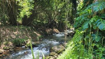 A natural stream flowing through a forested area with rocks and vegetation.