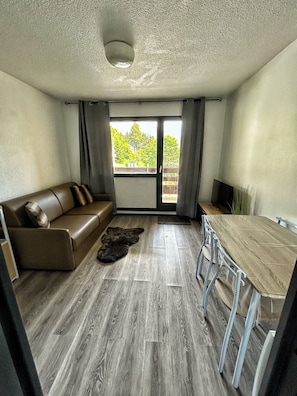 Una habitación con un sofá de cuero marrón, una mesa de comedor con sillas de metal, un felpudo de piel y vistas a través de una puerta corredera.