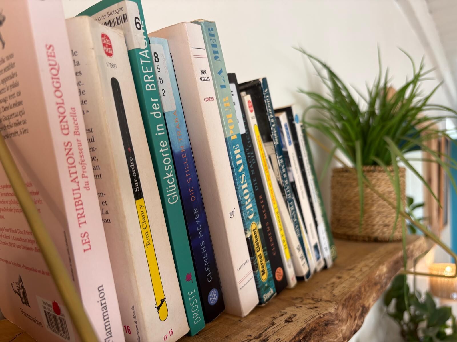 A bookshelf with various books, a potted plant, and a wooden shelf.
