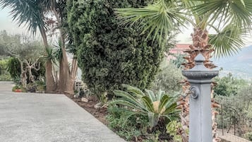 Un jardín con diversas plantas, una fuente de piedra y un cielo despejado.