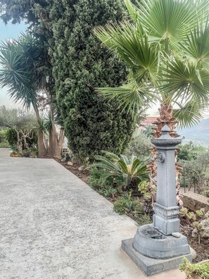 Un jardin où l’on trouve une grande variété de plantes, une fontaine en pierre et un ciel dégagé.