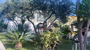 Un jardín con diversas plantas, un árbol y un edificio al fondo.