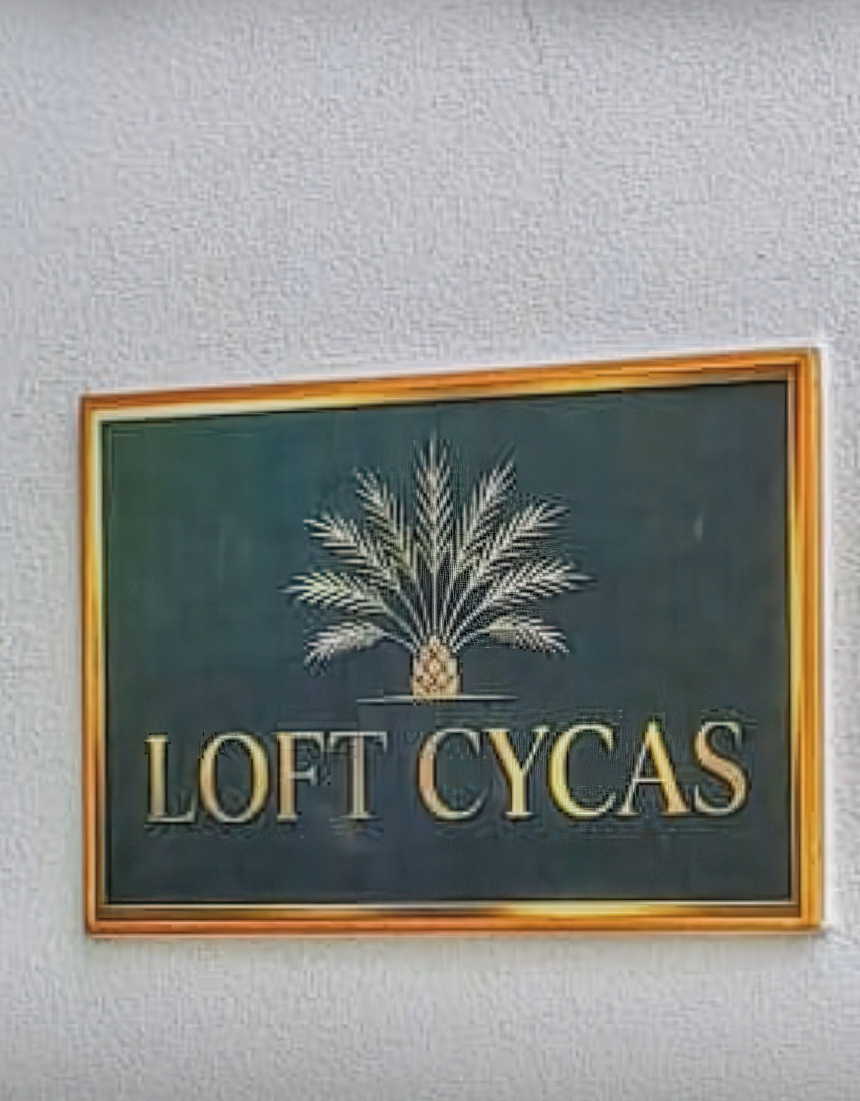 Dettaglio interni