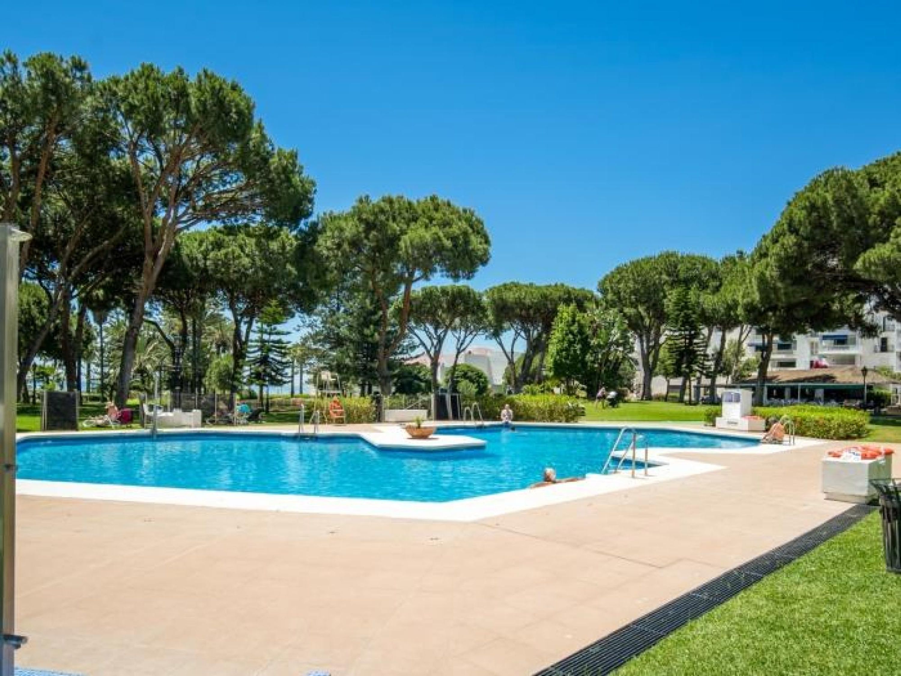 Une piscine à l’eau d’un bleu cristallin, entourée d’arbres, avec un bâtiment visible au loin.
