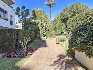 A paved pathway flanked by well-maintained hedges and a variety of plants, leading to a building with a white facade. - Estudio en Medina Garden Ref 362 (Marbella)
