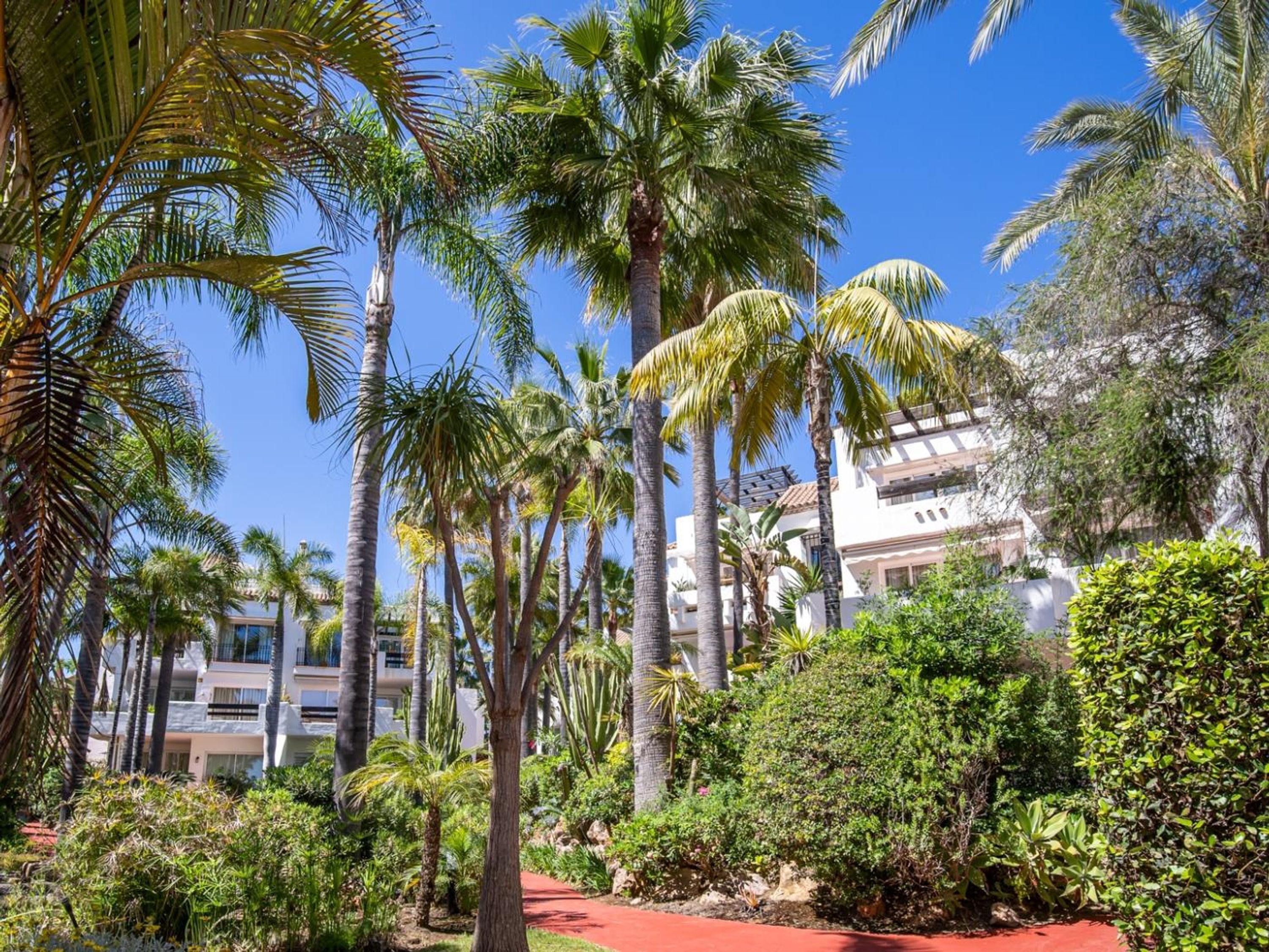 A hotel courtyard with palm trees, a red pathway, and a building with balconies.