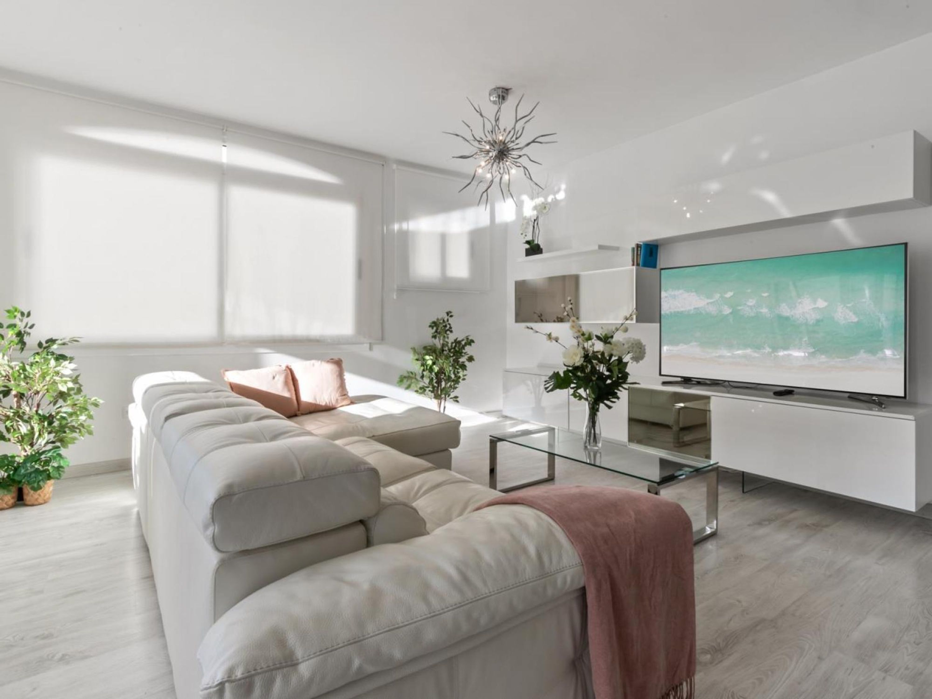 Ein modernes Wohnzimmer mit einer Couch, einem Glastisch, einem Fernseher und einer Zierpflanze.