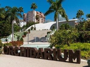 A sign with the word 'ORCHIDARIUM' in large letters, surrounded by greenery and palm trees, with a building in the background. - Contemporaly Huge Riyad (Estepona)