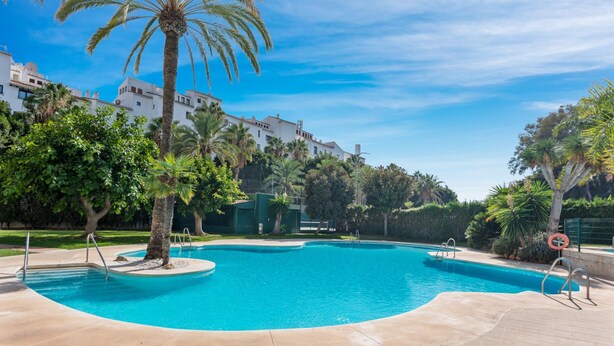 Una piscina dalla forma sinuosa, circondata da palme e da un cielo azzurro limpido.