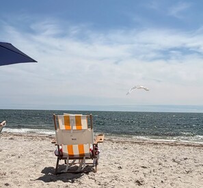 Una silla de playa con cojín a rayas mirando al océano, cielo despejado y una gaviota volando en la distancia.