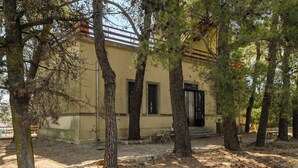 Um edifício com fachada amarela, rodeado por árvores e terreno seco.