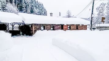 A wooden cabin with a snow-covered roof, surrounded by snow-covered ground and trees.