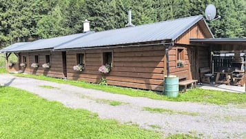 A wooden cabin with a metal roof, a gravel path in front, and a forested background.