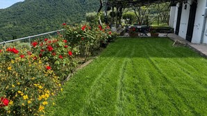 Ein gepflegter Garten mit Rasenfläche, blühenden Pflanzen und einer Pergola.