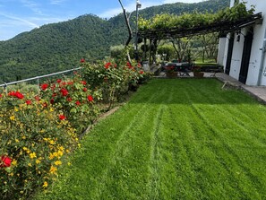 Ein gepflegter Garten mit Rasenfläche, blühenden Pflanzen und einer Pergola.
