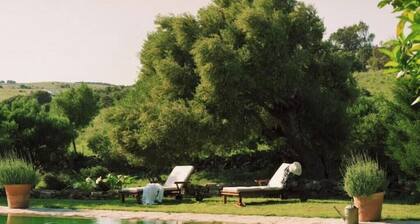 The Courtyard Country House at Cortijo El Aguilón