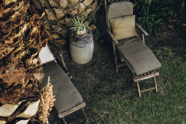 A rustic outdoor seating area with two wooden chairs and a small table, surrounded by greenery and a tree trunk.