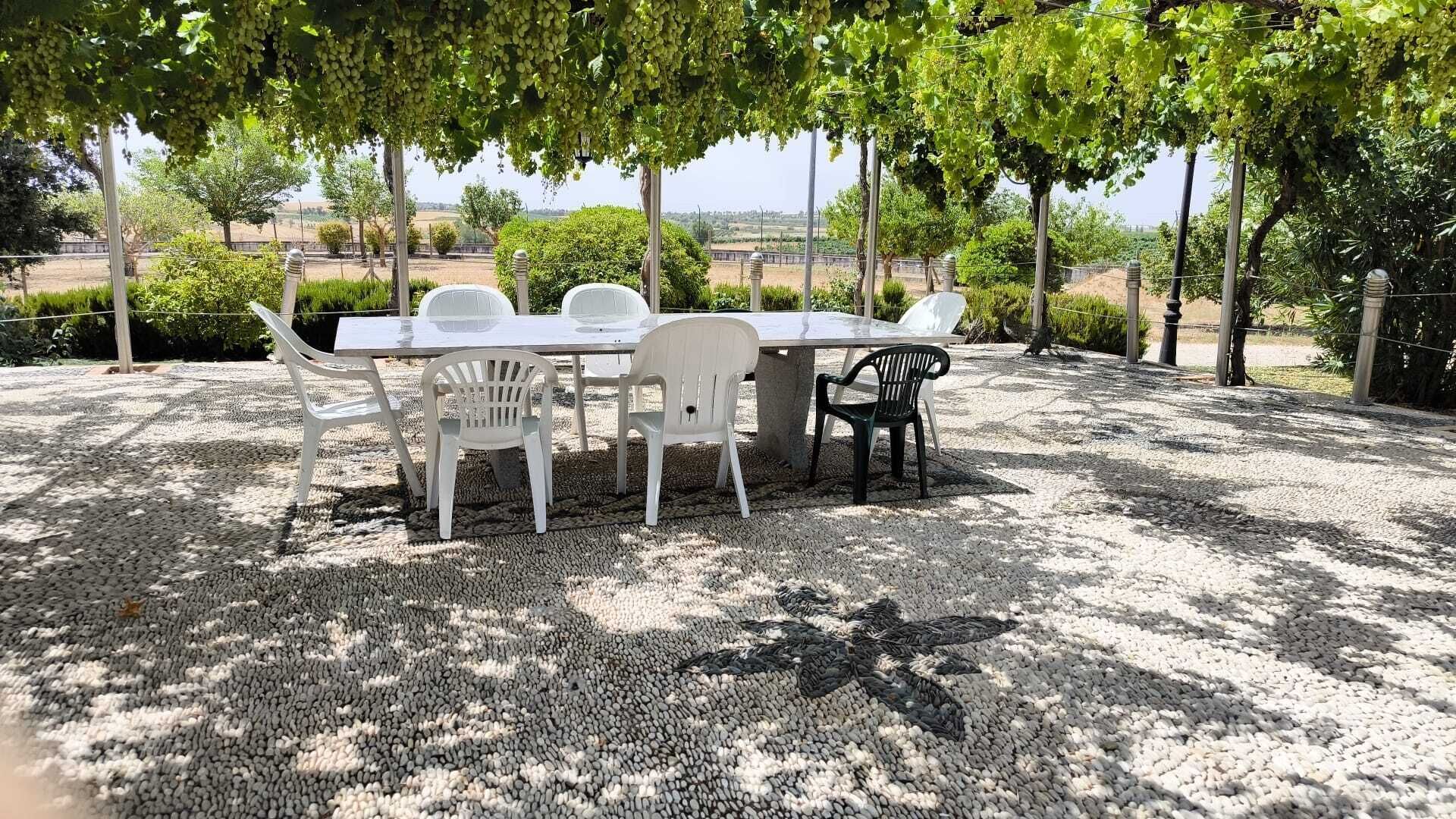 Un área de comedor al aire libre con una mesa y sillas, rodeada de grava y árboles.