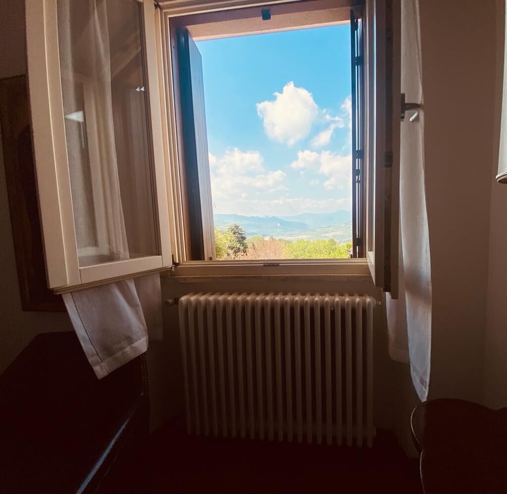 A room with a window overlooking a landscape, a radiator, and a partially open door.
