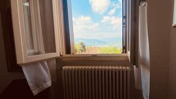 A room with a window overlooking a landscape, a radiator, and a partially open door.