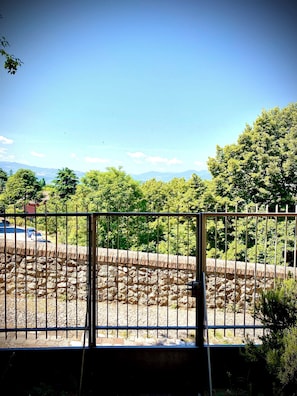 A view through a metal fence with a stone wall and greenery in the background.