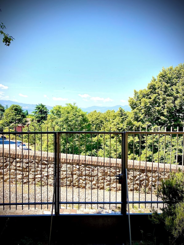 A view through a metal fence with a stone wall and greenery in the background.