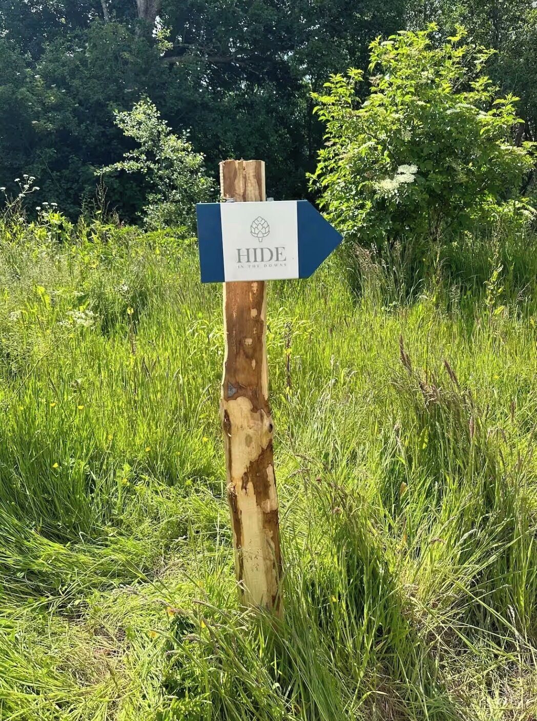 En träskylt med en pil som visar riktning och texten ”GÖM DIG I DOWAS” i mitten.