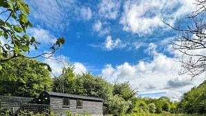 A rustic cabin surrounded by dense ferns and trees under a partly cloudy sky.