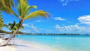 Uma praia com águas turquesa cristalinas, areia branca e uma palmeira.