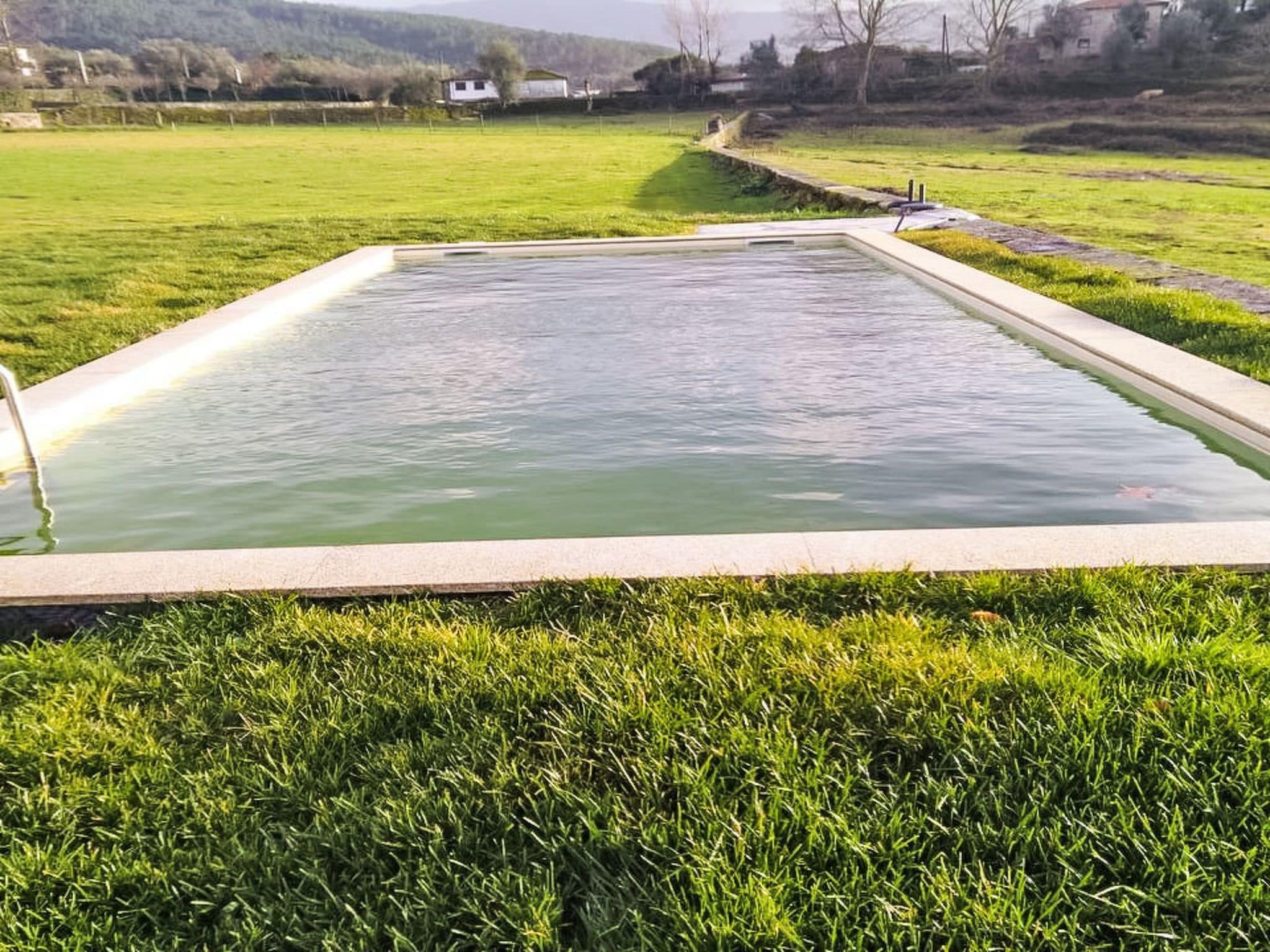 A rectangular pool with a concrete border, surrounded by well-maintained grass.