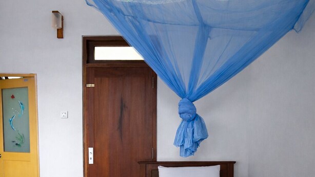 Una habitación con una cama, una puerta de madera y un dosel azul.