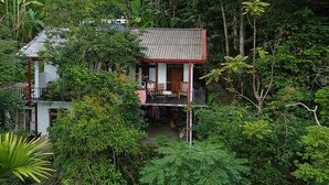 Una casa rodeada de abundante vegetación y árboles con flores amarillas.