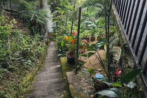 A narrow stone pathway flanked by lush greenery and potted plants, leading to a gated area.