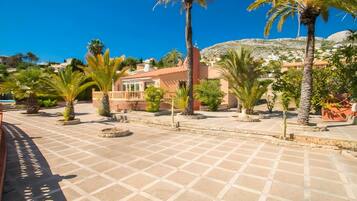 A paved courtyard with palm trees and a building with a red facade.