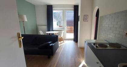 Familienapartments Wildemann