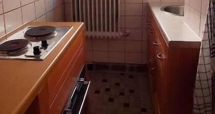 Familienapartments Wildemann