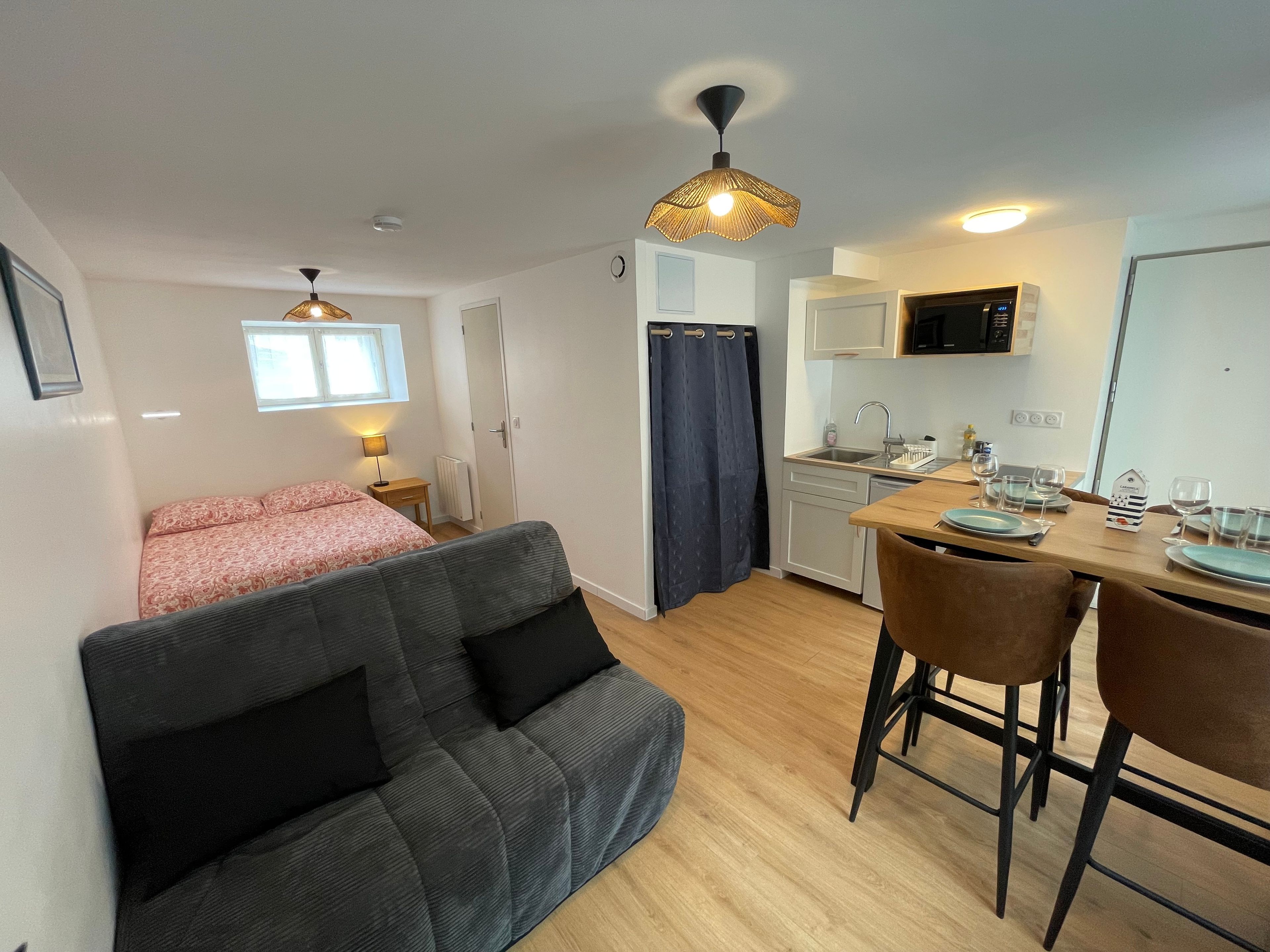 A compact living space with a sofa, a dining table with chairs, a kitchenette, and a ceiling light fixture.