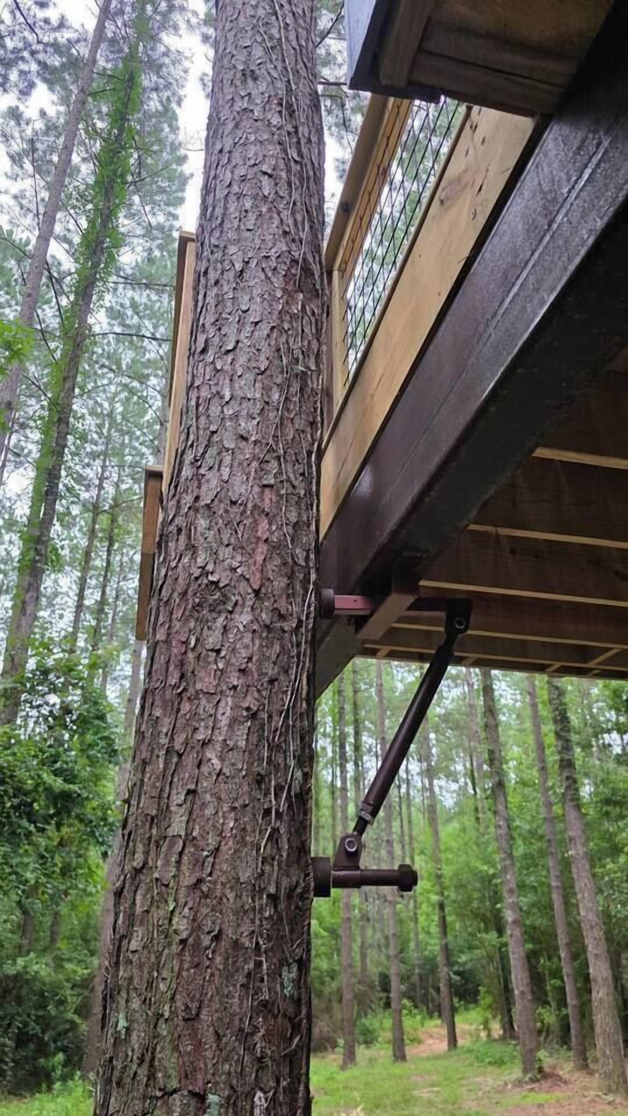 Un tronco de árbol adosado a una estructura de madera con un soporte de metal.